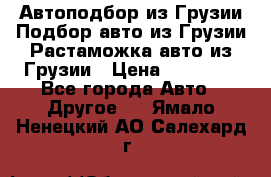 Автоподбор из Грузии.Подбор авто из Грузии.Растаможка авто из Грузии › Цена ­ 25 000 - Все города Авто » Другое   . Ямало-Ненецкий АО,Салехард г.